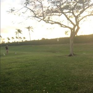 Meet your Posher, Dorothy